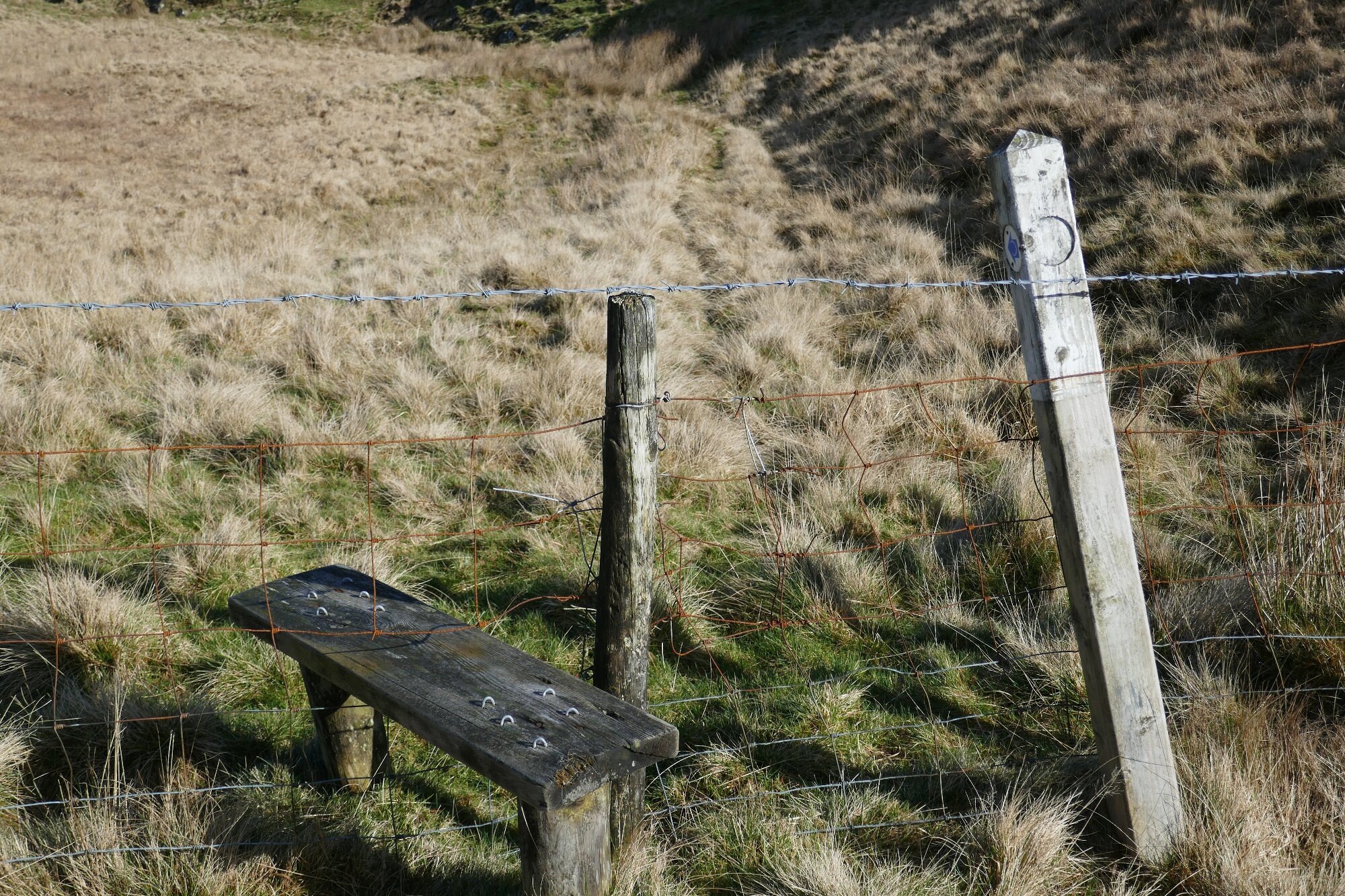 RachelSeabrook.net | Wild Walking | Bryn Mawr | pic20